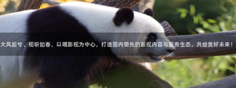 汤姆高清影院下载：大风起兮、视听如春，以嘎影视为中心，打造国内领先的影视内容与服务生态，共绘美好未来！