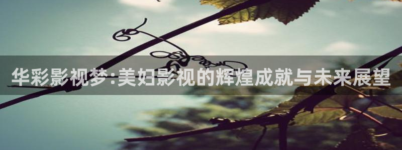 汤姆影院热门电影有哪些：华彩影视梦:美妇影视的辉煌成就与未来展望